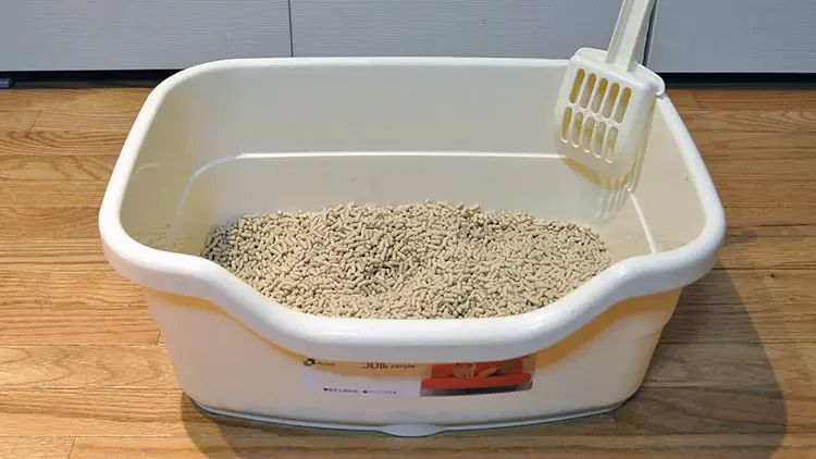 A bucket of cat litter