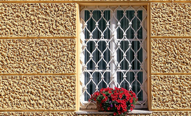 A window with a white security grille and a red flower on the sill