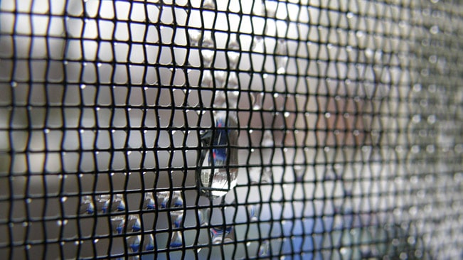 Closeup photo of a window security screen