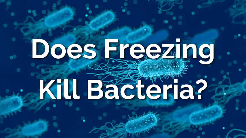 Does freezing kill bacteria?