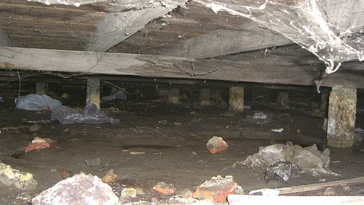 A dirty and cluttered crawl space with litter and cobwebs