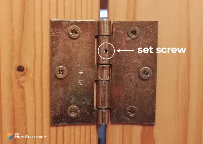 Set screw hinge